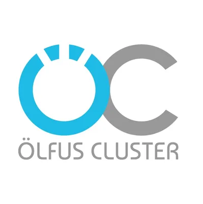 olfuscluster.is's icon