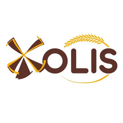 olis.com.ua's icon