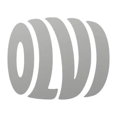 olvigroup.fi's icon
