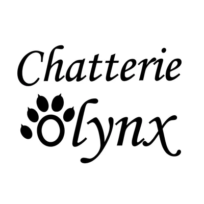 olynx.ca's icon