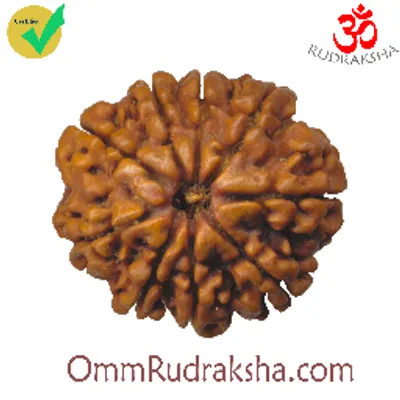 ommrudraksha.com's icon