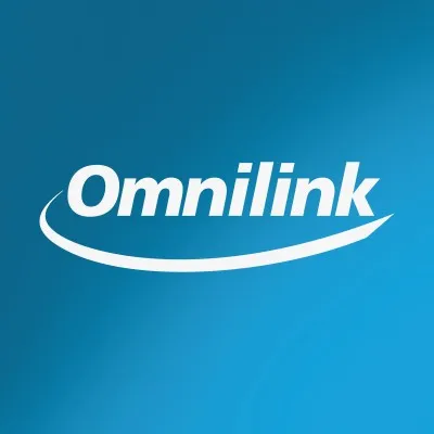omnilink.com.br's icon