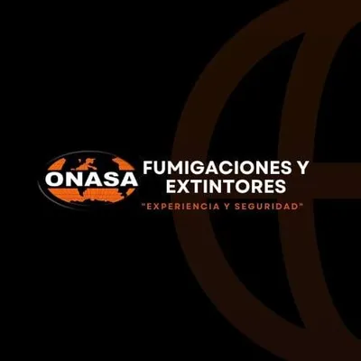 onasaingenieros.com's icon