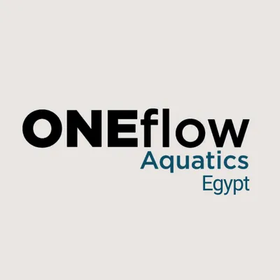 oneflow-egypt.com's icon