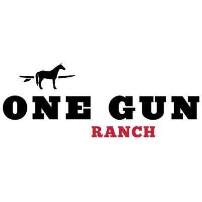 onegunranch.com's icon
