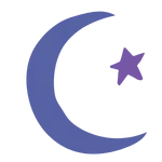 onestarrynight.com's icon