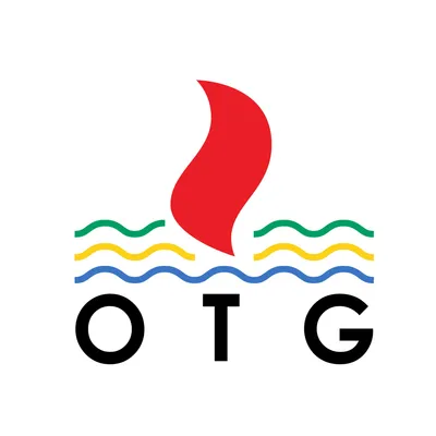 onstreamtransportgabon.com's icon