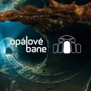 opalovebane.com's icon