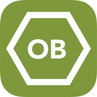 openbusiness.co.ke's icon