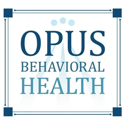 opusbh.com's icon