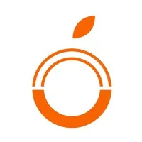 orangesmile.nl's icon