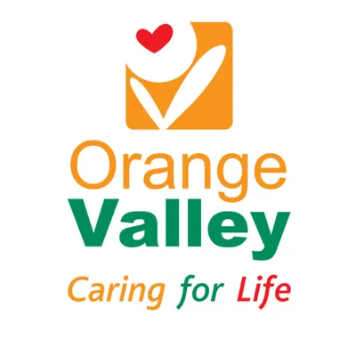 orangevalley.sg's icon