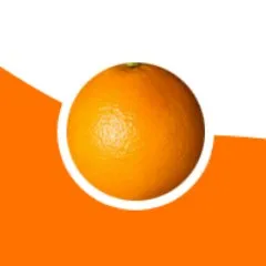 orangewebsite.com's icon