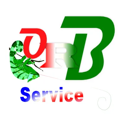ORB Service's icon