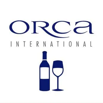 orca-international.com's icon