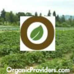 organicproviders.com's icon
