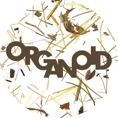 organoids.com's icon