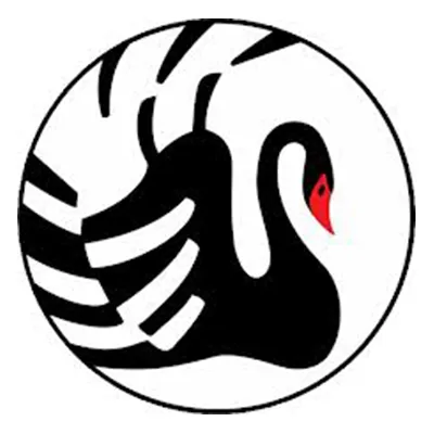 orientblackswan.com's icon