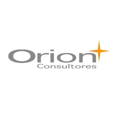 orionconsultores.com's icon