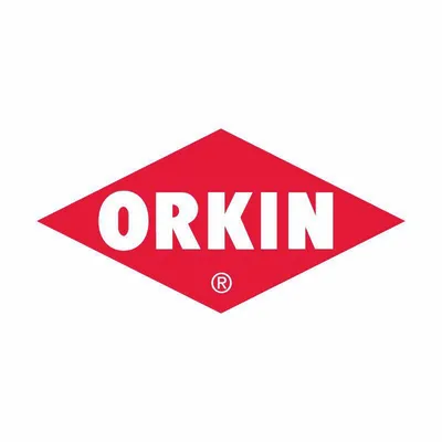 orkin.com.py's icon