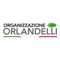 orlandelli.it's icon
