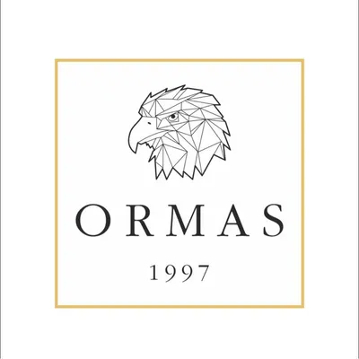 ormas.ru's icon