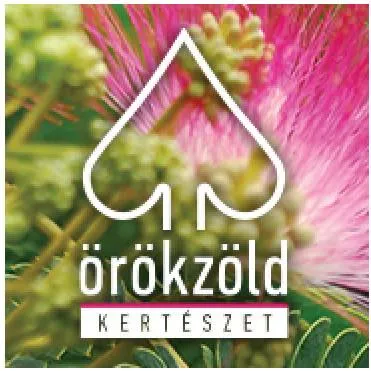 orokzold.hu's icon