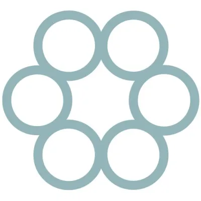 ossiform.com's icon