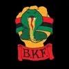 ourfistsareblack.com's icon