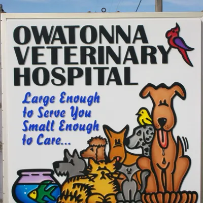 owatonnaveterinaryhospital.com's icon