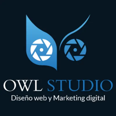 owl-studio.com's icon