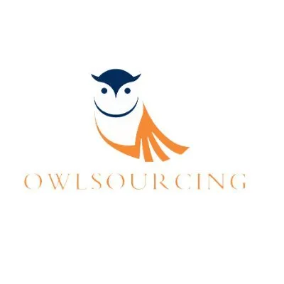 owlsourcing.com's icon