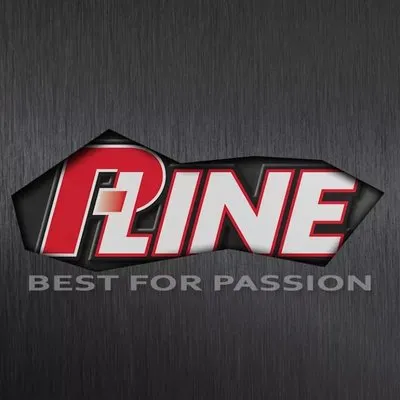p-line.it's icon
