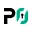 P0 Security logo