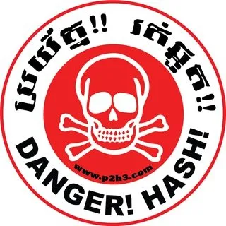 p2h3.com's icon