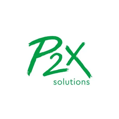 p2x.fi's icon