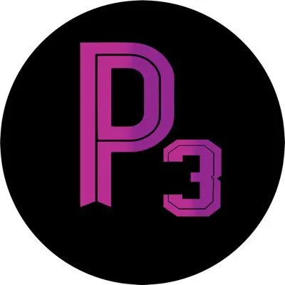 p3academics.com's icon