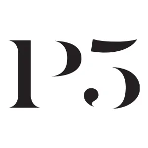 p5.com.sg's icon