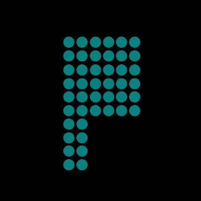 paceofficial.com's icon