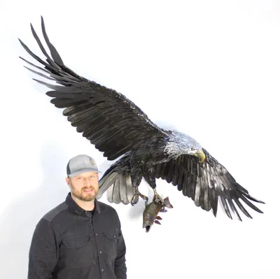 pacificmetalarts.com's icon
