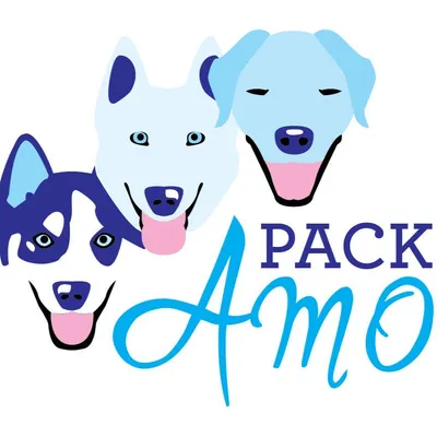 pack-amo.com's icon