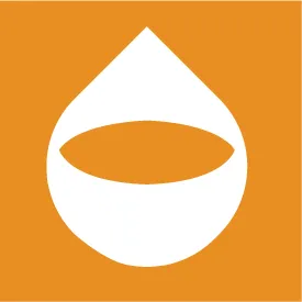 packetninjas.com's icon