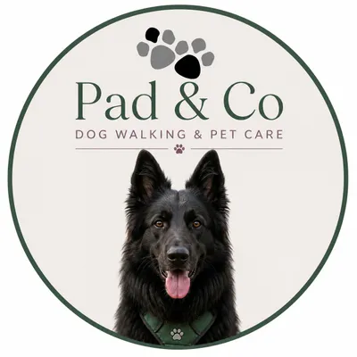 padandco.com's icon