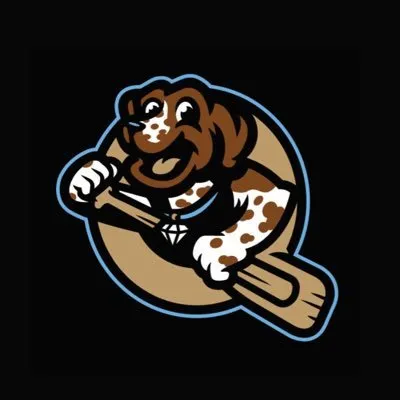 paddlersbaseball.com's icon