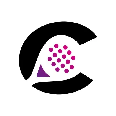 padelcity.de's icon