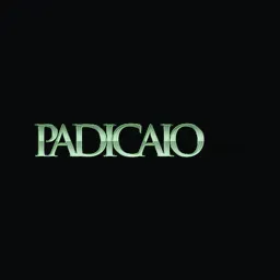 padicaioleiloes.com.br's icon