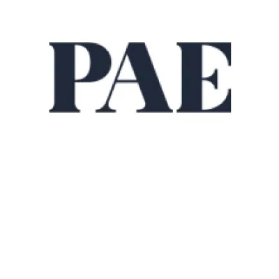 pae.co.nz's icon