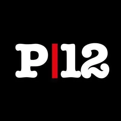 pagina12.com.ar's icon