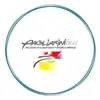 pagliarinibussrl.it's icon