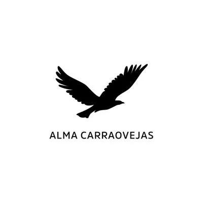 pagodecarraovejas.com's icon